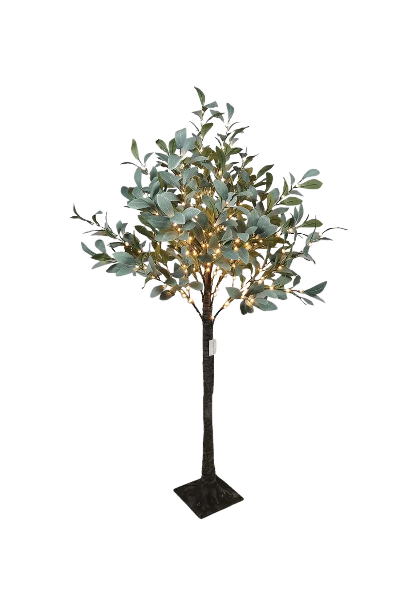 OLIVE TREE LIGHT UP DARK LEAF - SMALL - THE VOGUE STORE 